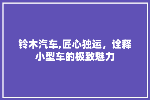 铃木汽车,匠心独运，诠释小型车的极致魅力