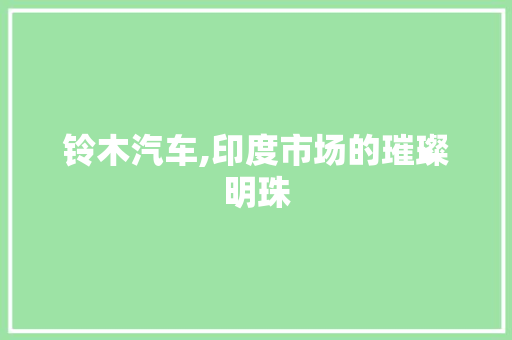 铃木汽车,印度市场的璀璨明珠