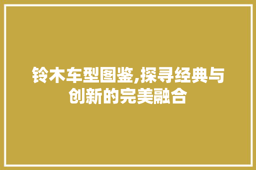 铃木车型图鉴,探寻经典与创新的完美融合