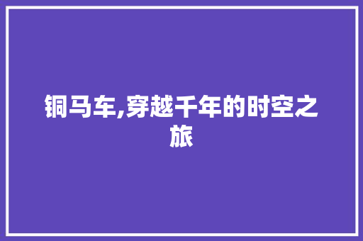 铜马车,穿越千年的时空之旅