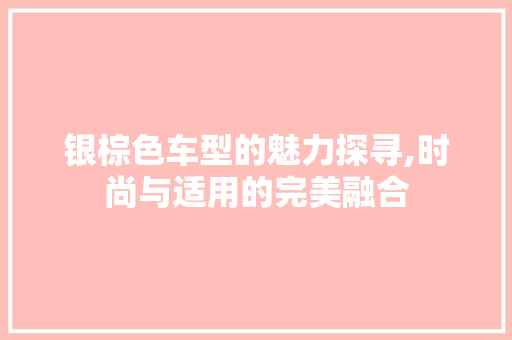 银棕色车型的魅力探寻,时尚与适用的完美融合