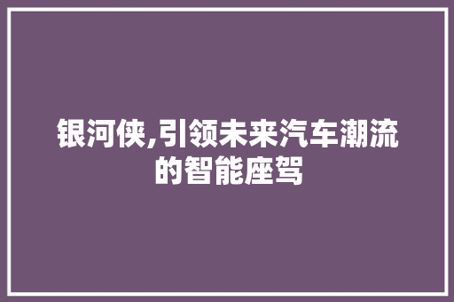 银河侠,引领未来汽车潮流的智能座驾