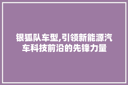 银狐队车型,引领新能源汽车科技前沿的先锋力量