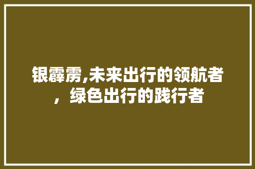 银霹雳,未来出行的领航者，绿色出行的践行者