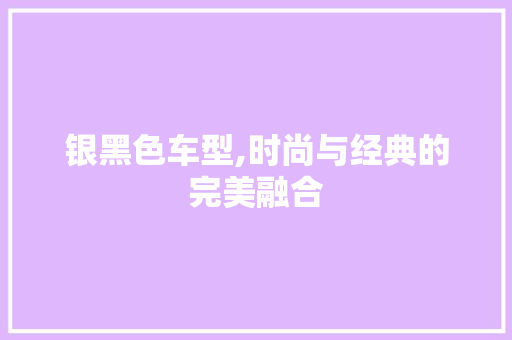 银黑色车型,时尚与经典的完美融合