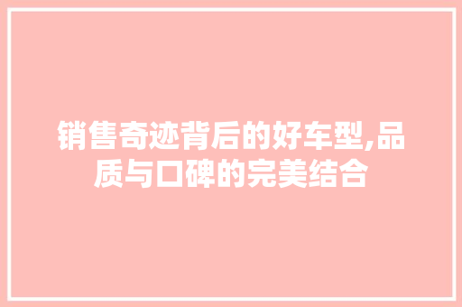 销售奇迹背后的好车型,品质与口碑的完美结合