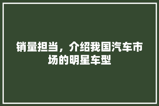 销量担当，介绍我国汽车市场的明星车型