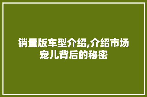 销量版车型介绍,介绍市场宠儿背后的秘密