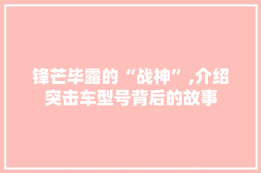 锋芒毕露的“战神”,介绍突击车型号背后的故事