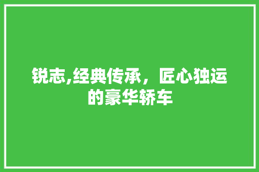 锐志,经典传承，匠心独运的豪华轿车