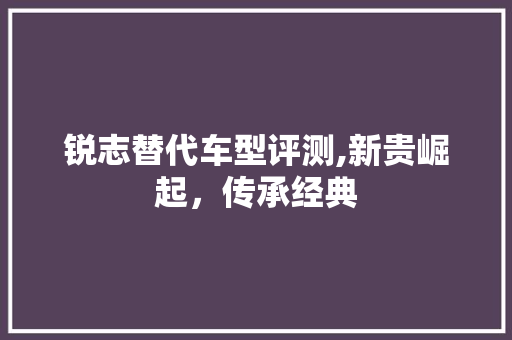 锐志替代车型评测,新贵崛起，传承经典