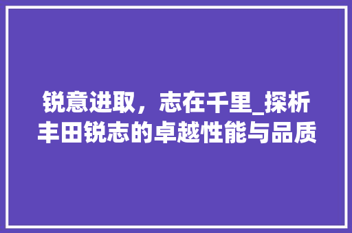 锐意进取，志在千里_探析丰田锐志的卓越性能与品质
