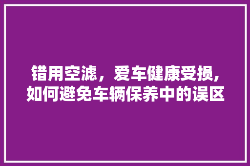 错用空滤，爱车健康受损,如何避免车辆保养中的误区