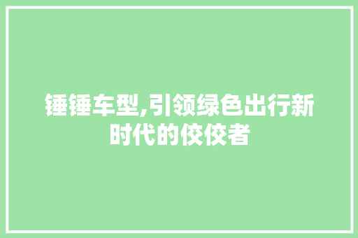 锤锤车型,引领绿色出行新时代的佼佼者