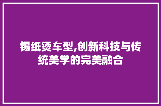 锡纸烫车型,创新科技与传统美学的完美融合