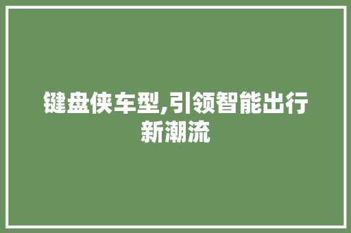 键盘侠车型,引领智能出行新潮流