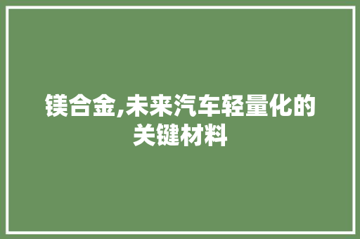 镁合金,未来汽车轻量化的关键材料