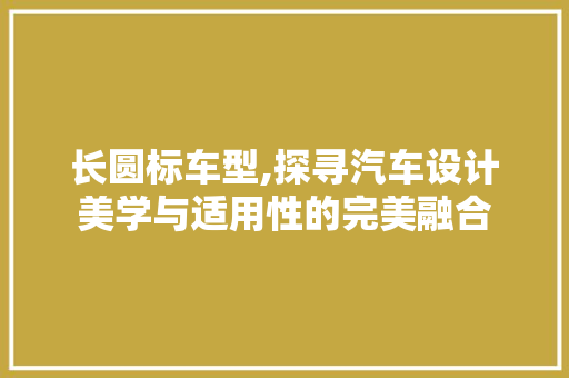 长圆标车型,探寻汽车设计美学与适用性的完美融合