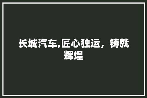 长城汽车,匠心独运，铸就辉煌