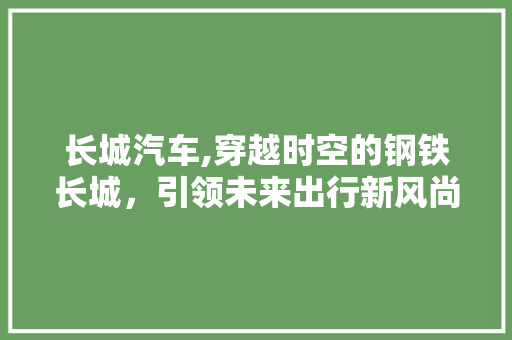长城汽车,穿越时空的钢铁长城，引领未来出行新风尚 车灯配件