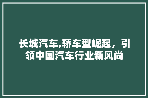 长城汽车,轿车型崛起，引领中国汽车行业新风尚