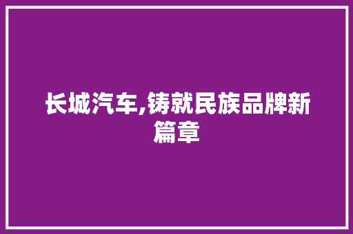 长城汽车,铸就民族品牌新篇章