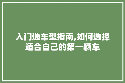 入门选车型指南,如何选择适合自己的第一辆车