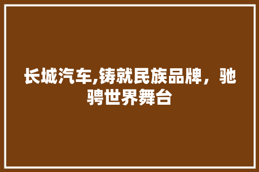 长城汽车,铸就民族品牌，驰骋世界舞台