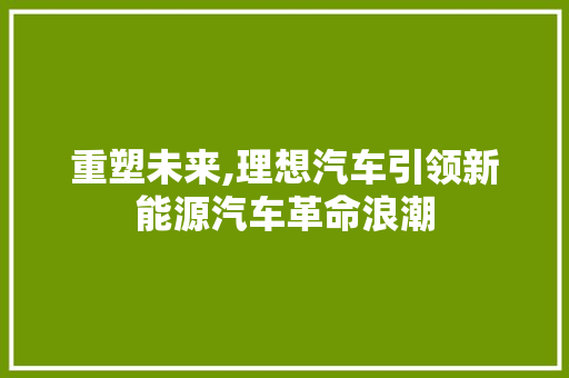 重塑未来,理想汽车引领新能源汽车革命浪潮