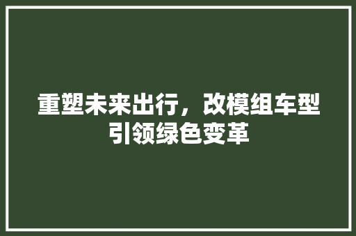 重塑未来出行，改模组车型引领绿色变革