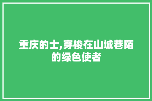 重庆的士,穿梭在山城巷陌的绿色使者