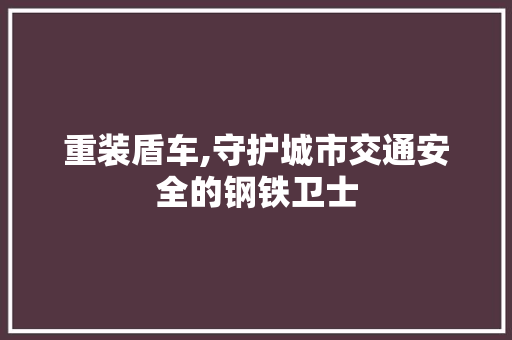 重装盾车,守护城市交通安全的钢铁卫士