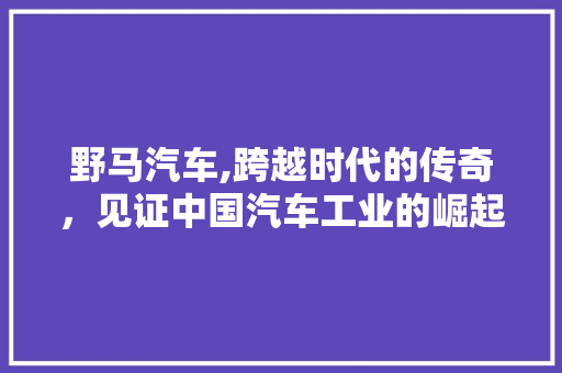 野马汽车,跨越时代的传奇，见证中国汽车工业的崛起