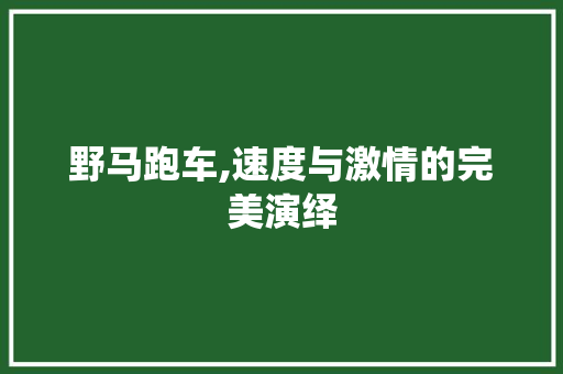 野马跑车,速度与激情的完美演绎