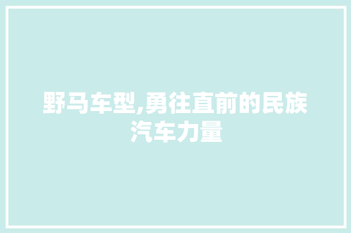野马车型,勇往直前的民族汽车力量