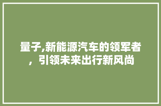 量子,新能源汽车的领军者，引领未来出行新风尚