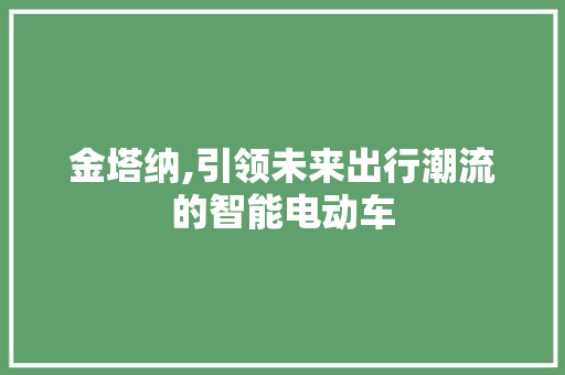 金塔纳,引领未来出行潮流的智能电动车