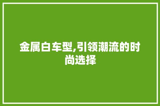金属白车型,引领潮流的时尚选择