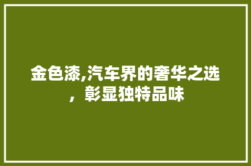 金色漆,汽车界的奢华之选，彰显独特品味