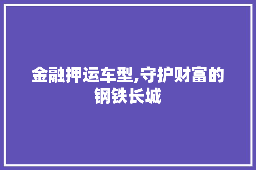 金融押运车型,守护财富的钢铁长城