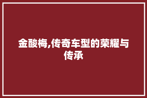 金酸梅,传奇车型的荣耀与传承