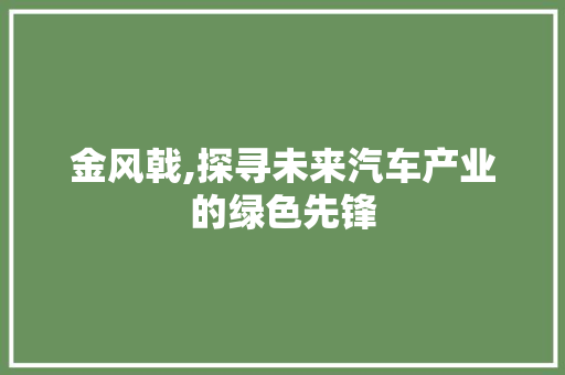 金风戟,探寻未来汽车产业的绿色先锋