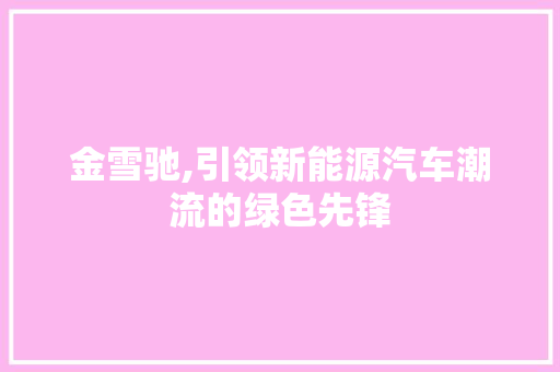 金雪驰,引领新能源汽车潮流的绿色先锋