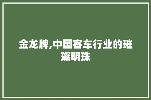 金龙牌,中国客车行业的璀璨明珠