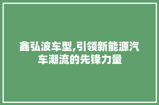 鑫弘波车型,引领新能源汽车潮流的先锋力量