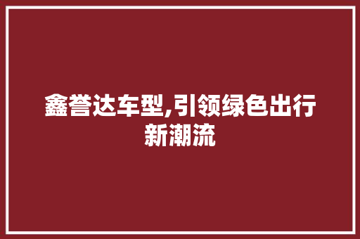 鑫誉达车型,引领绿色出行新潮流