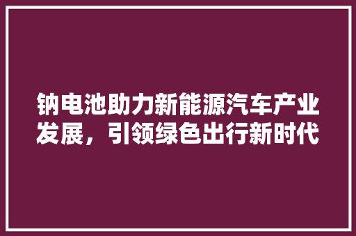 钠电池助力新能源汽车产业发展，引领绿色出行新时代
