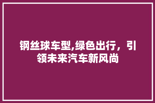 钢丝球车型,绿色出行，引领未来汽车新风尚