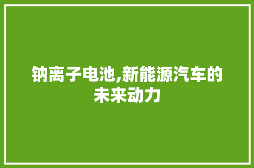 钠离子电池,新能源汽车的未来动力