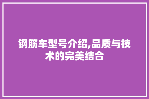 钢筋车型号介绍,品质与技术的完美结合